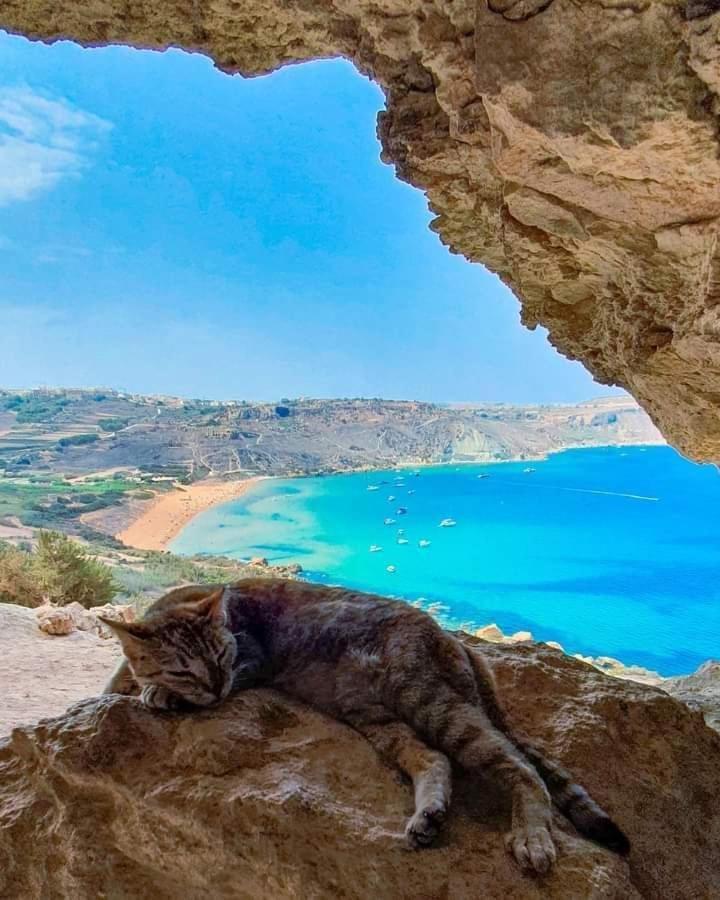 Farmhouse Tal Kaptan Kerċem Esterno foto